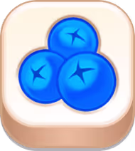 matchjong chip
